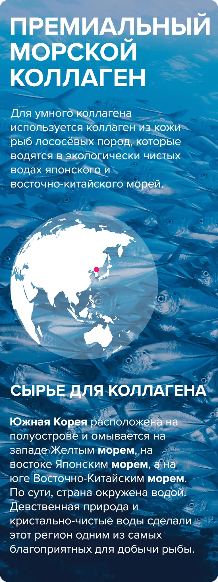 Пептидный гидролизованный коллаген Пептидный гидролизованный коллаген баннер